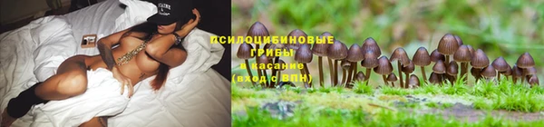 первитин Каменка