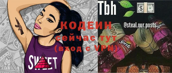 первитин Каменка
