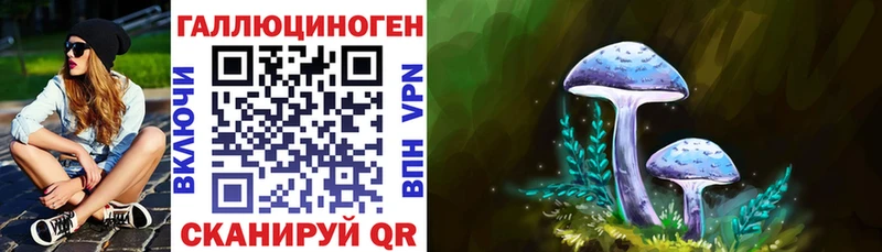 Галлюциногенные грибы мухоморы  Купить закладки  Казань 