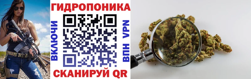 Шишки марихуана OG Kush  Купить закладки  Казань 